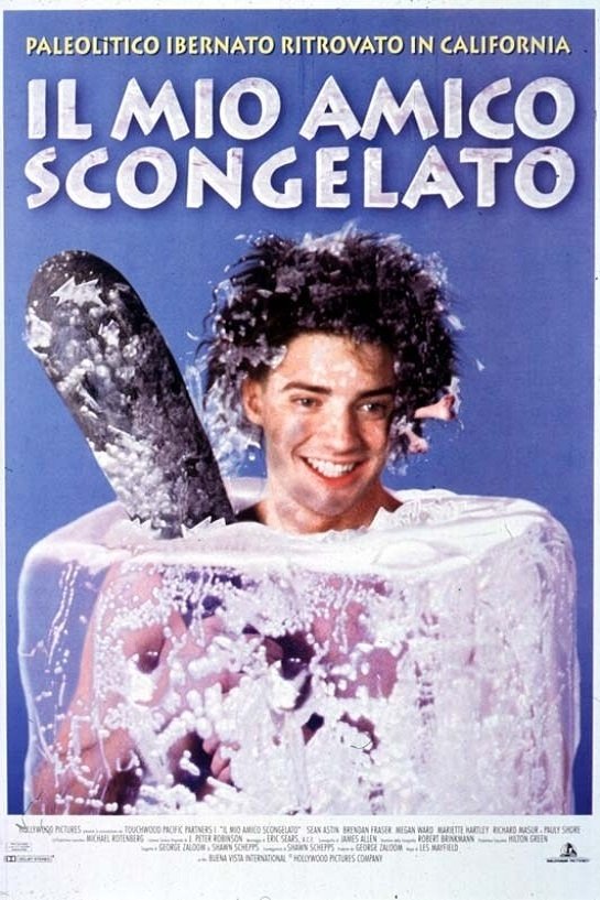 Locandina di Il mio amico scongelato