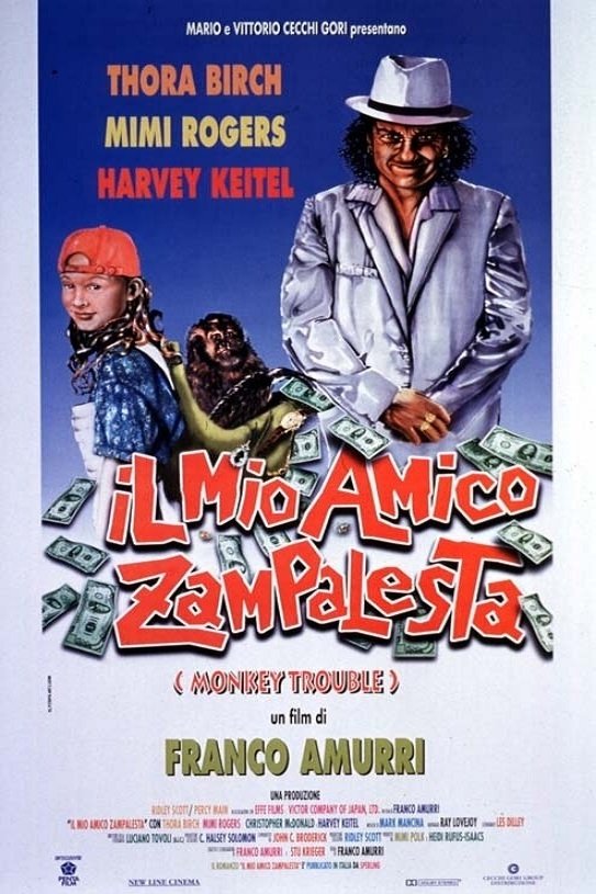 Locandina di Il mio amico zampalesta