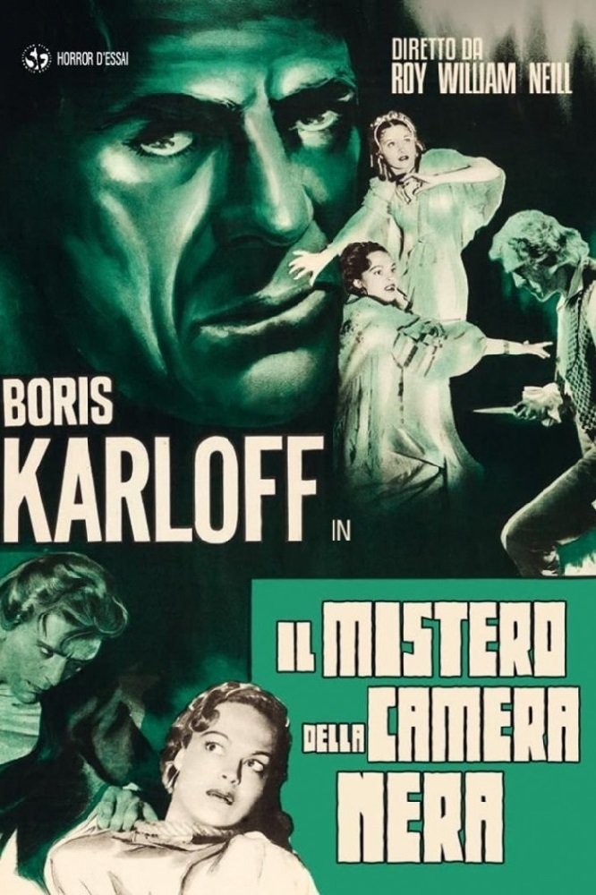 Locandina di Il mistero della camera nera