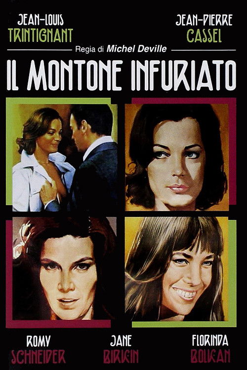 Locandina di Il montone infuriato