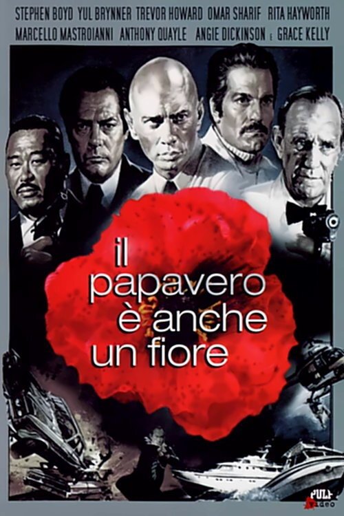 Locandina di Il papavero è anche un fiore