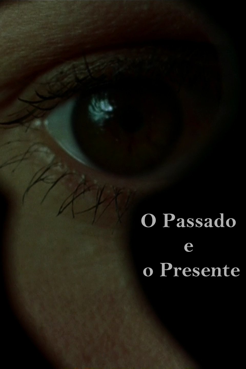 Locandina di Il passato e il presente