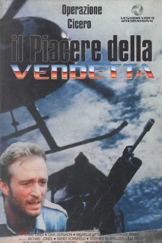 Locandina di Il piacere della vendetta