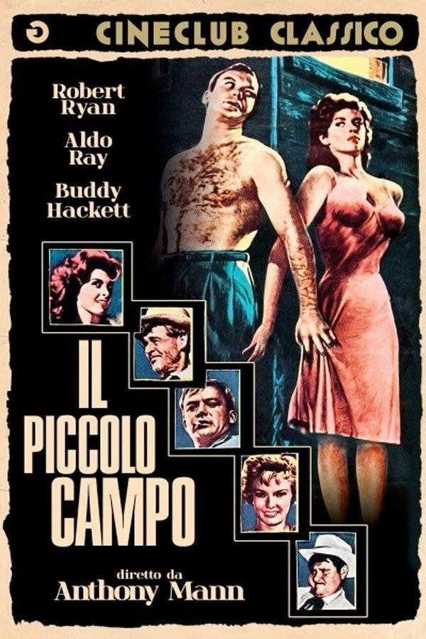 Locandina di Il piccolo campo