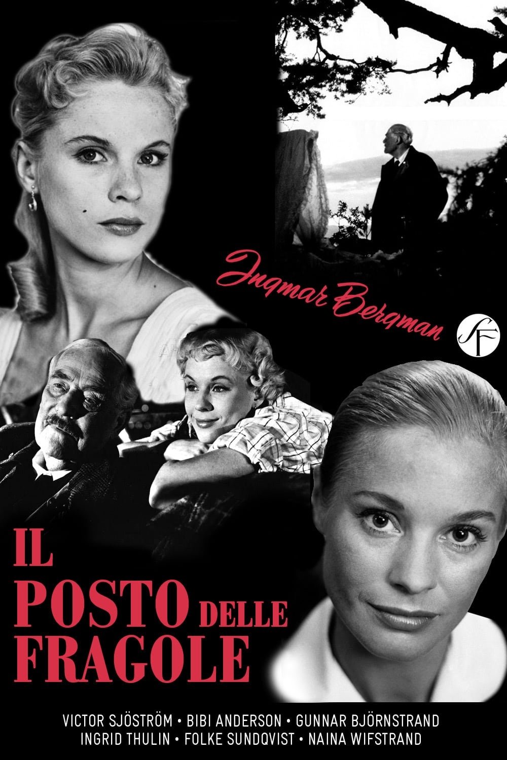 Locandina di Il posto delle fragole
