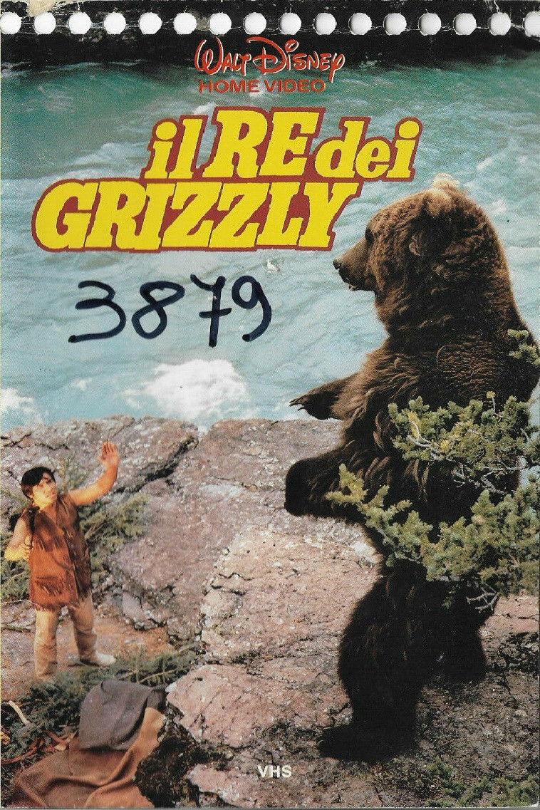 Locandina di Il re dei grizzly