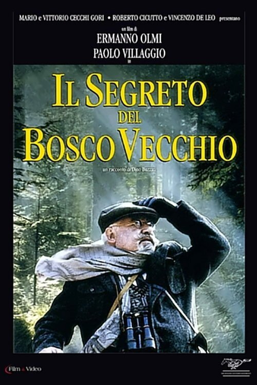 Locandina di Il segreto del bosco vecchio