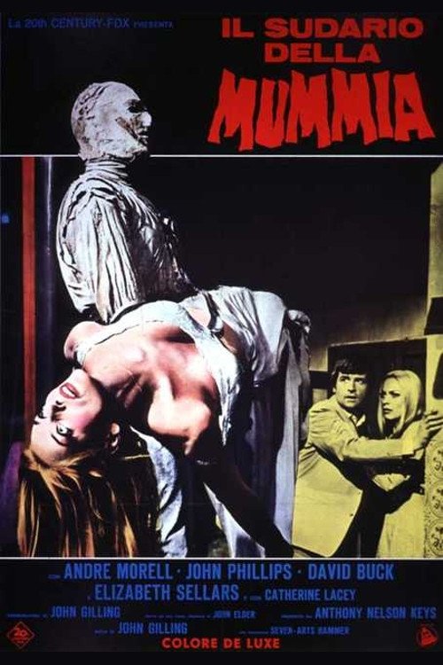 Locandina di Il sudario della mummia