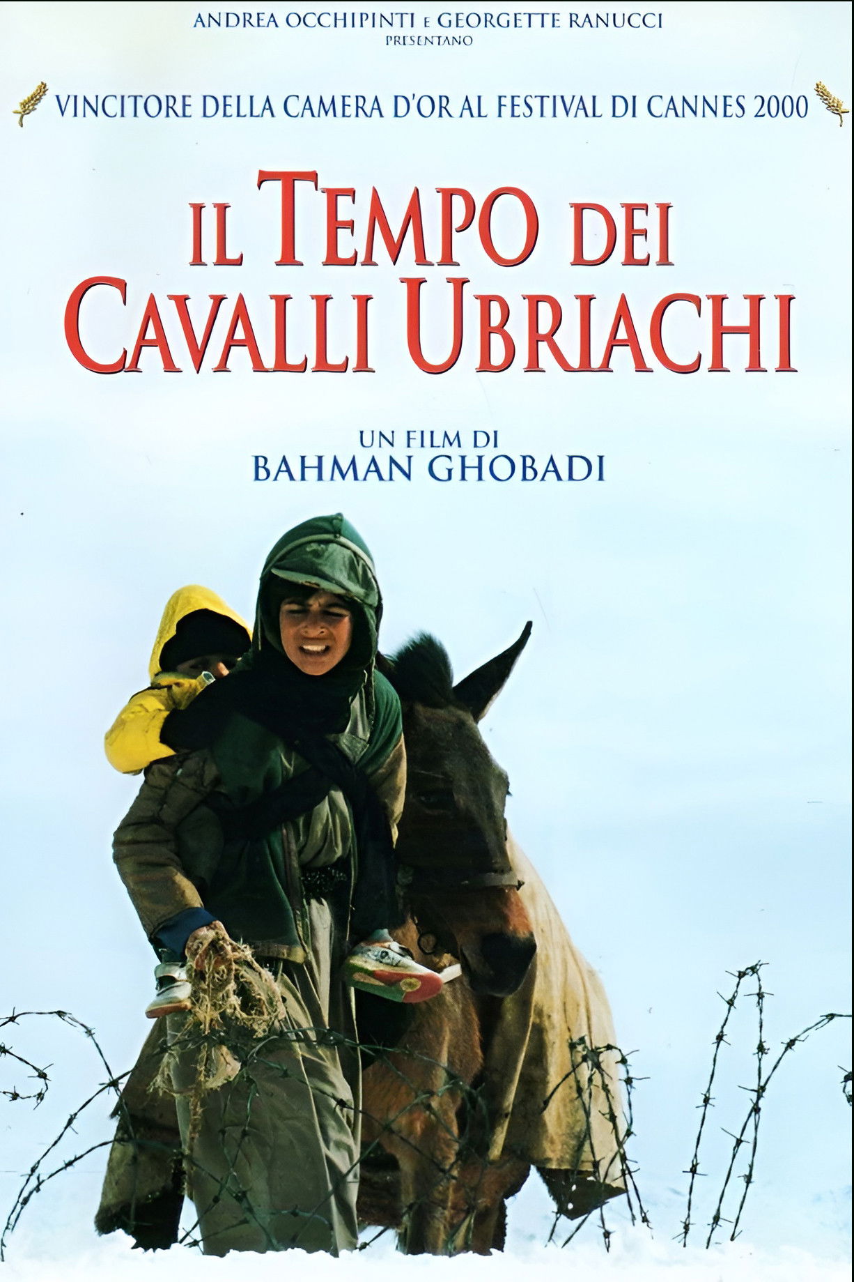 Locandina di Il tempo dei cavalli ubriachi