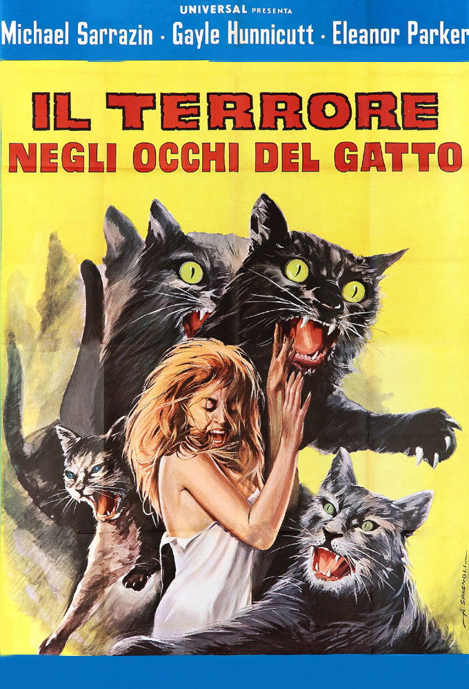Locandina di Il terrore negli occhi del gatto