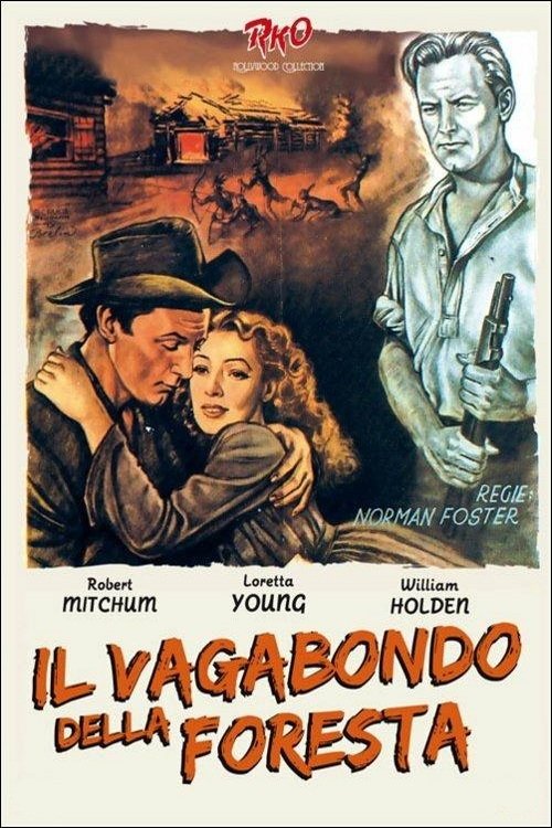 Locandina di Il vagabondo della foresta