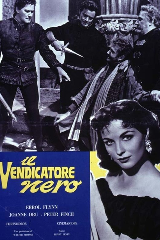 Locandina di Il vendicatore nero