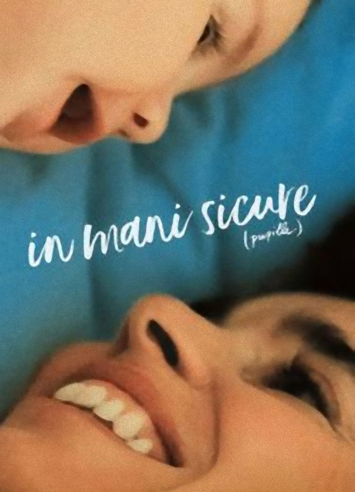 Locandina di In mani sicure