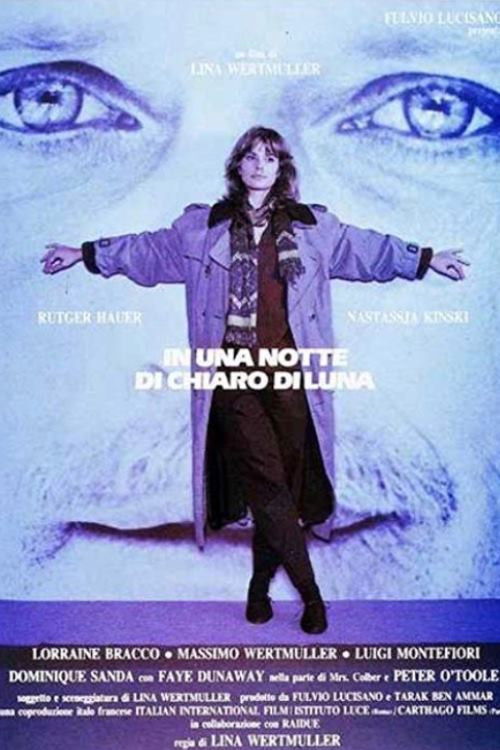 Locandina di In una notte di chiaro di luna