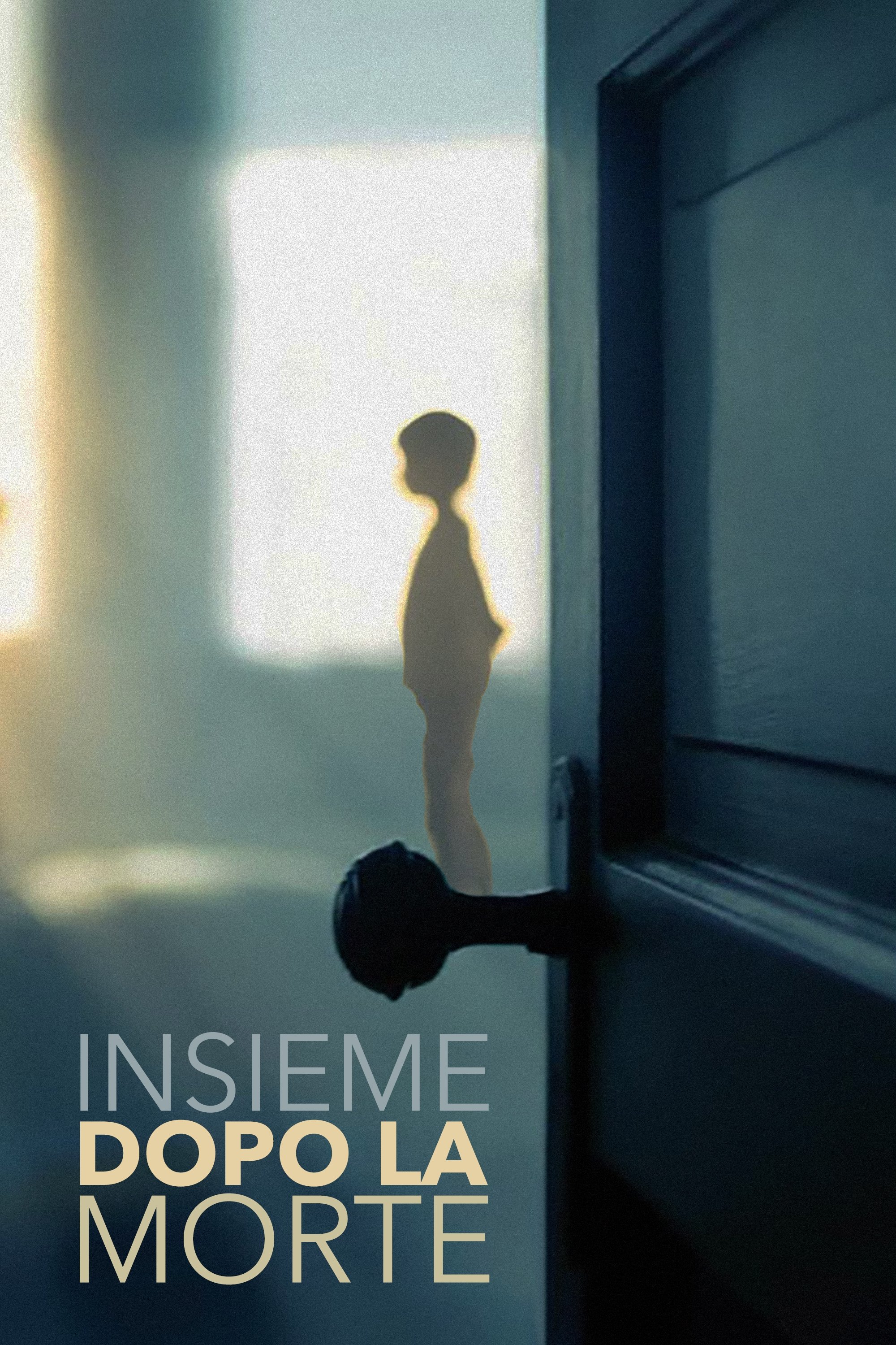 Locandina di Insieme dopo la morte