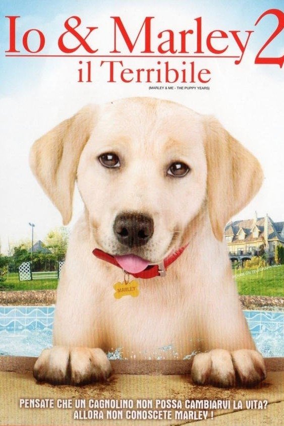 Locandina di Io & Marley 2 - Il terribile