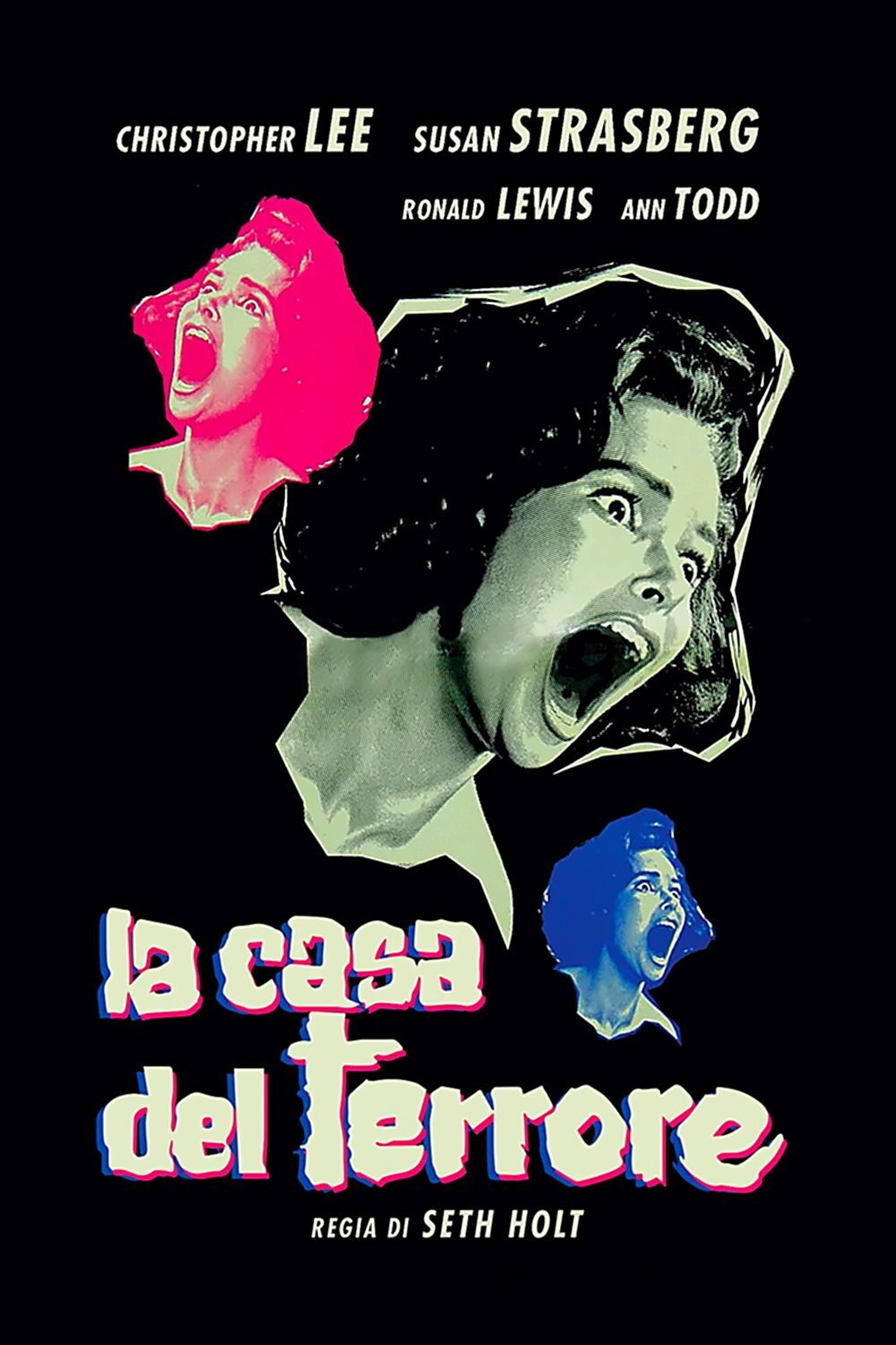 Locandina di La casa del terrore