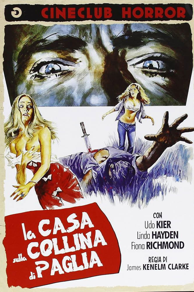 Locandina di La casa sulla collina di paglia