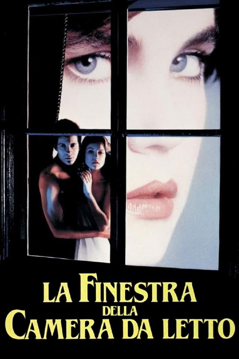 Locandina di La finestra della camera da letto
