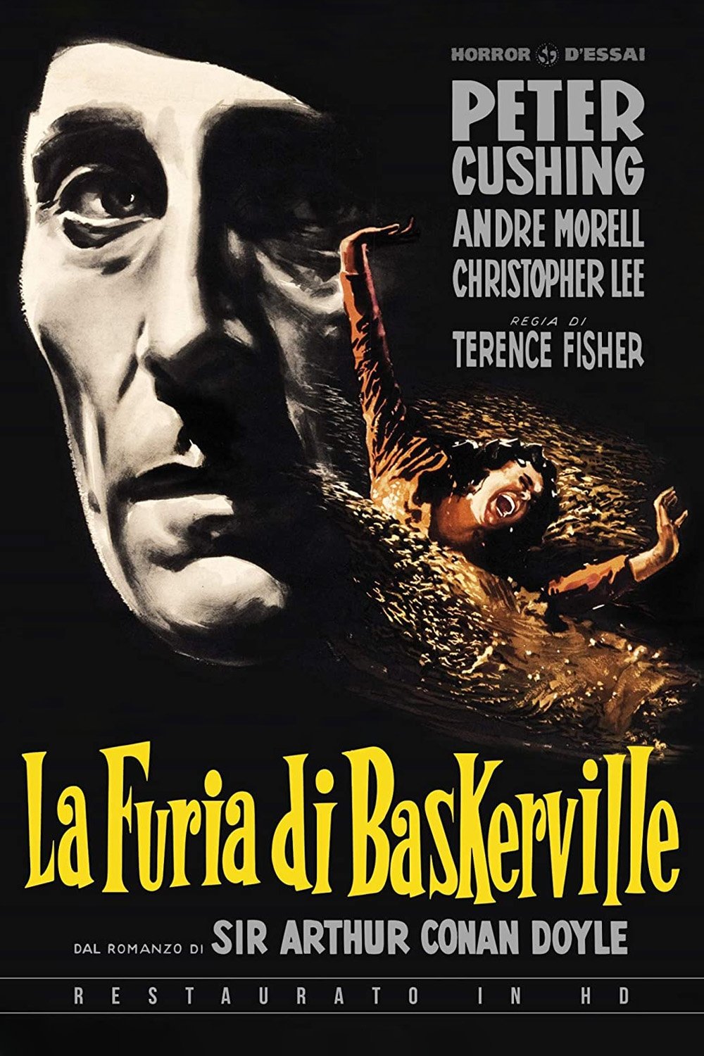 Locandina di La furia dei Baskerville