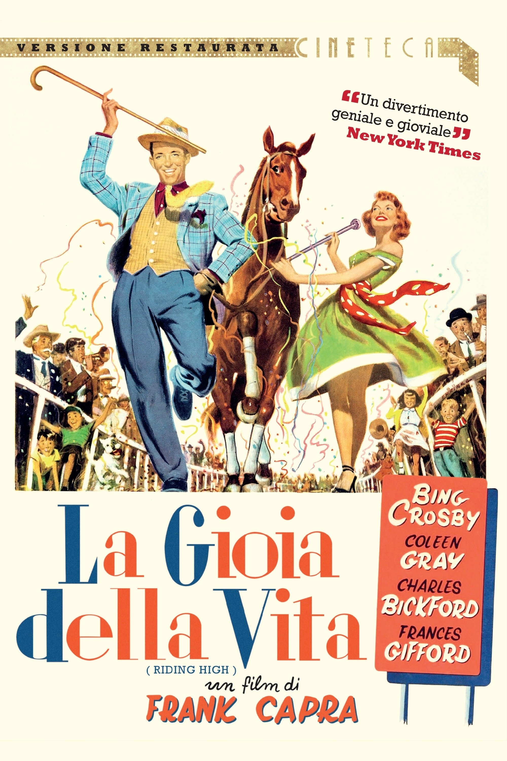 Locandina di La gioia della vita
