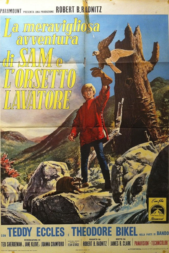Locandina di La meravigliosa avventura di Sam e l'orsetto lavatore