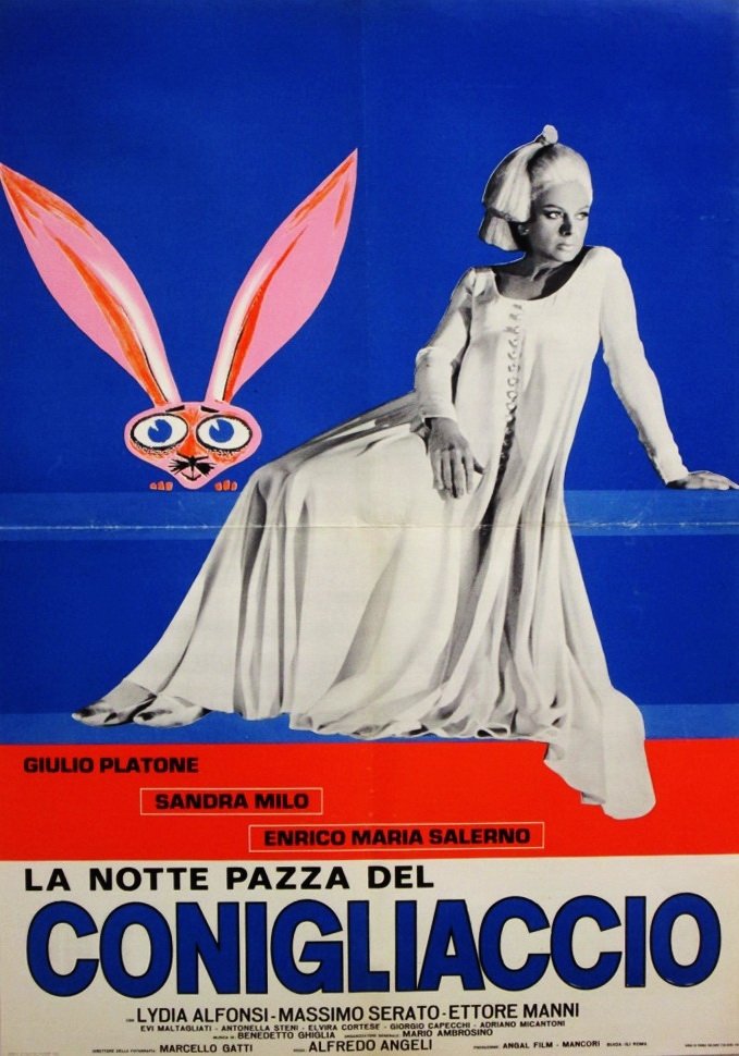 Locandina di La notte pazza del conigliaccio
