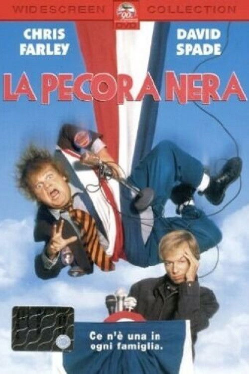Locandina di La pecora nera