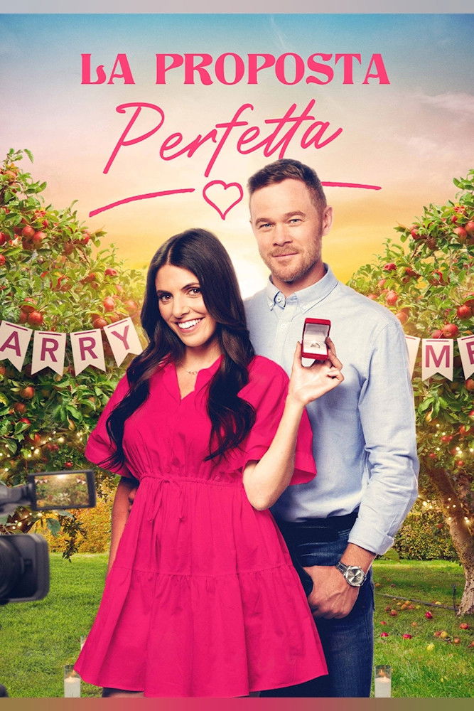 Locandina di La proposta perfetta