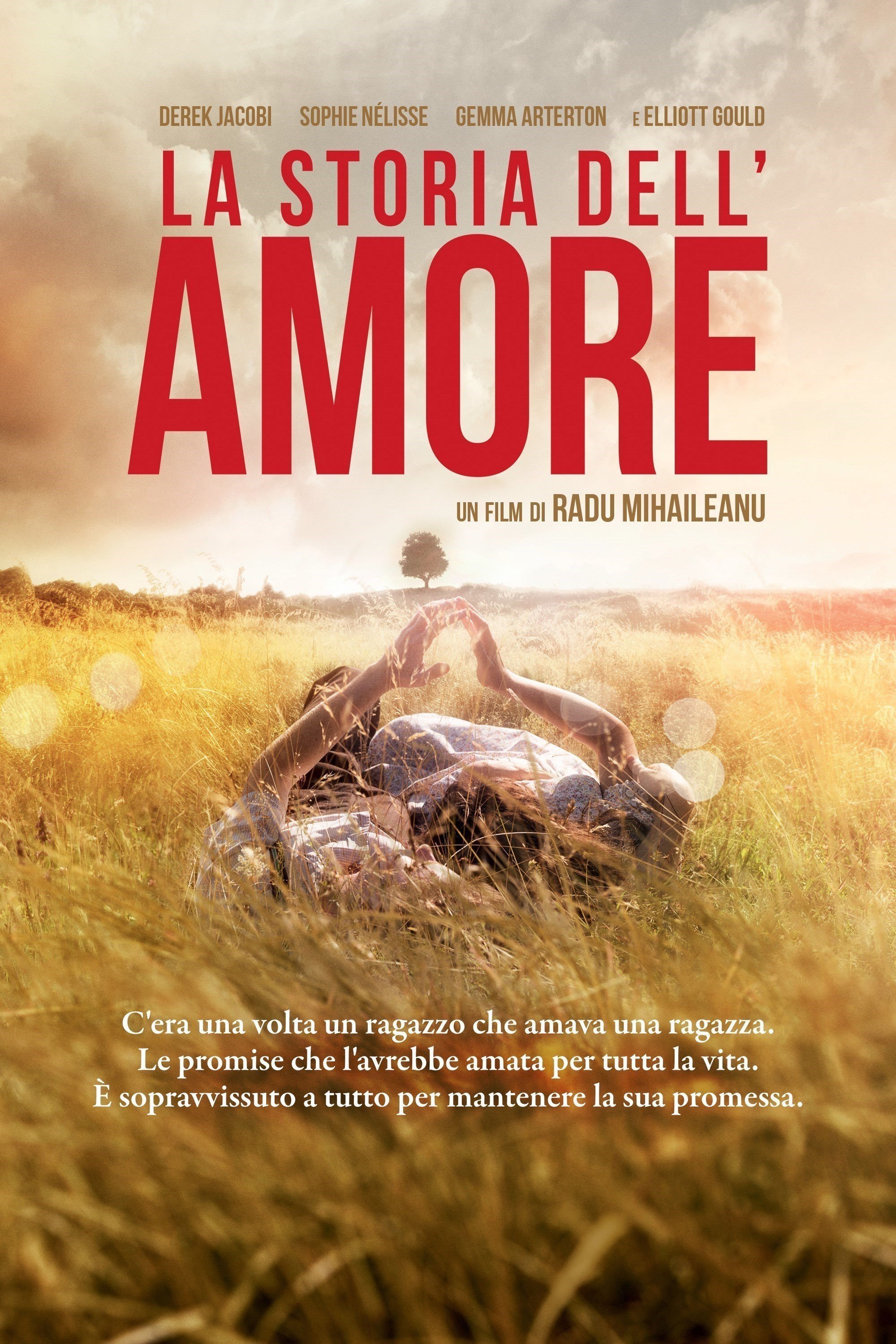 Locandina di La storia dell'amore