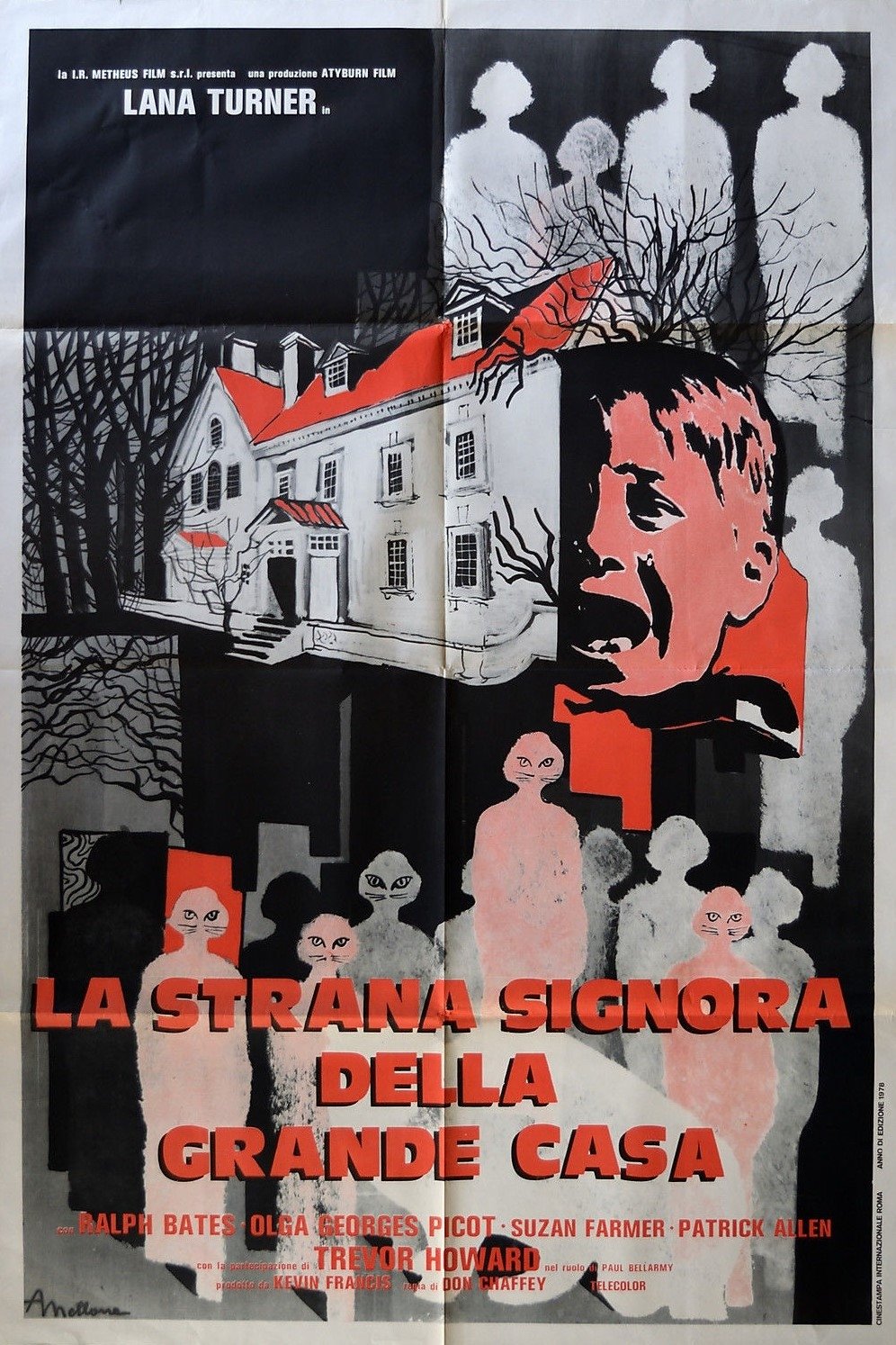 Locandina di La strana signora della grande casa