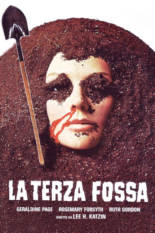 Locandina di La terza fossa