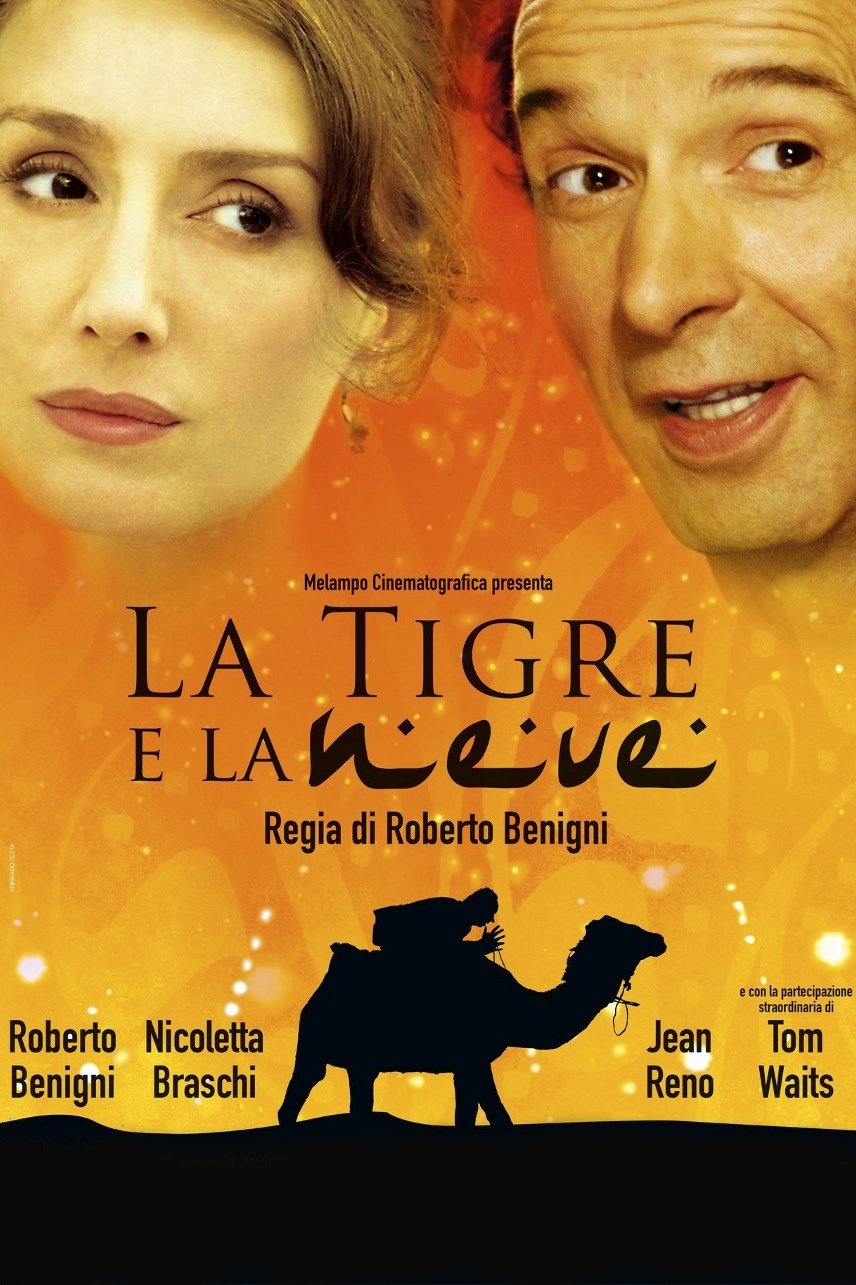 Locandina di La tigre e la neve