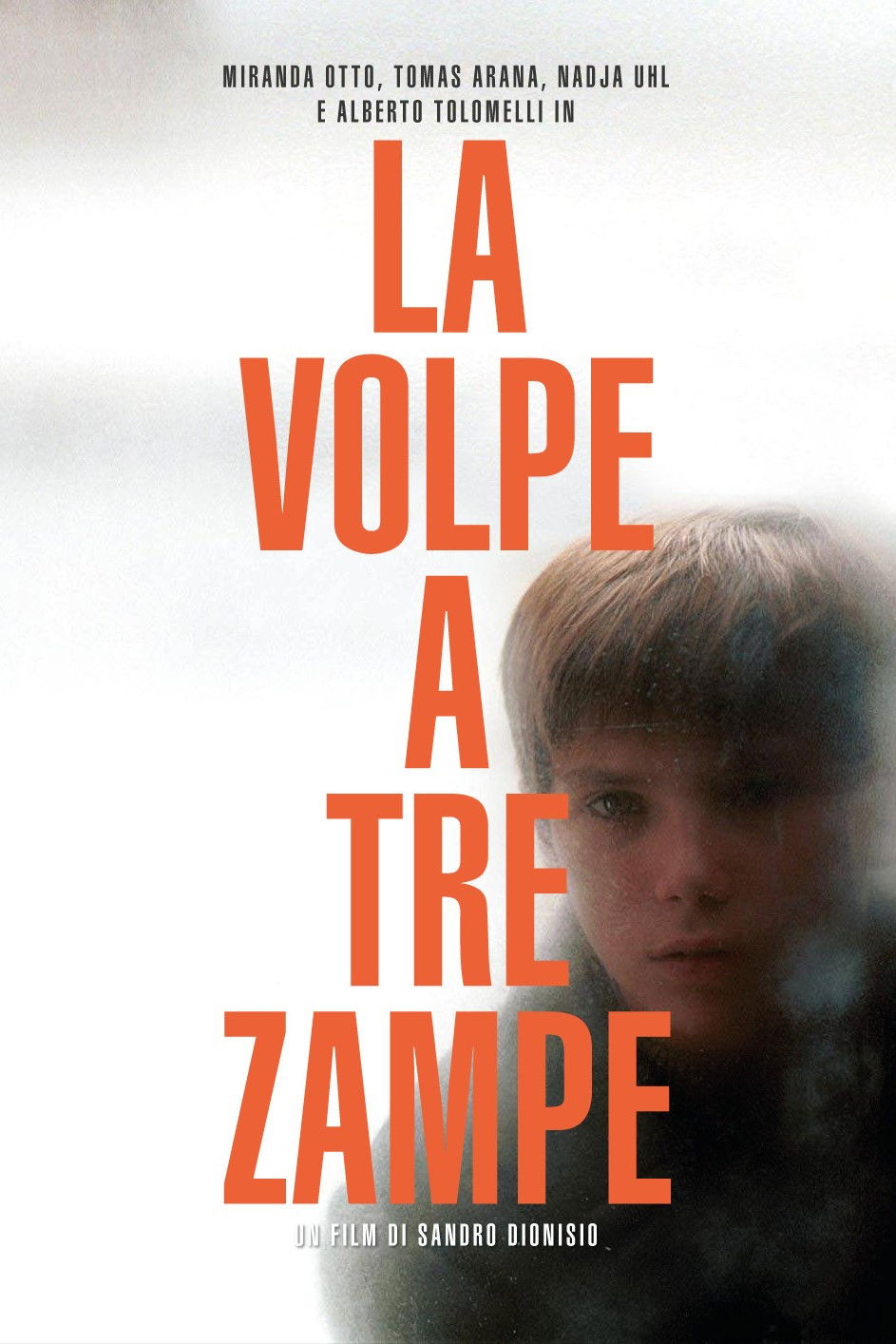 Locandina di La volpe a tre zampe