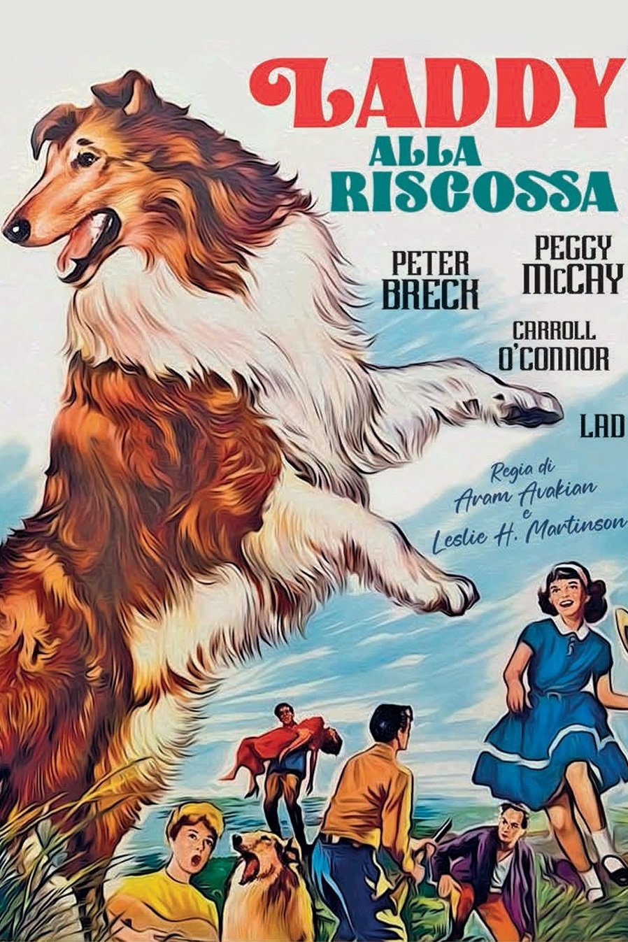 Locandina di Laddy alla riscossa