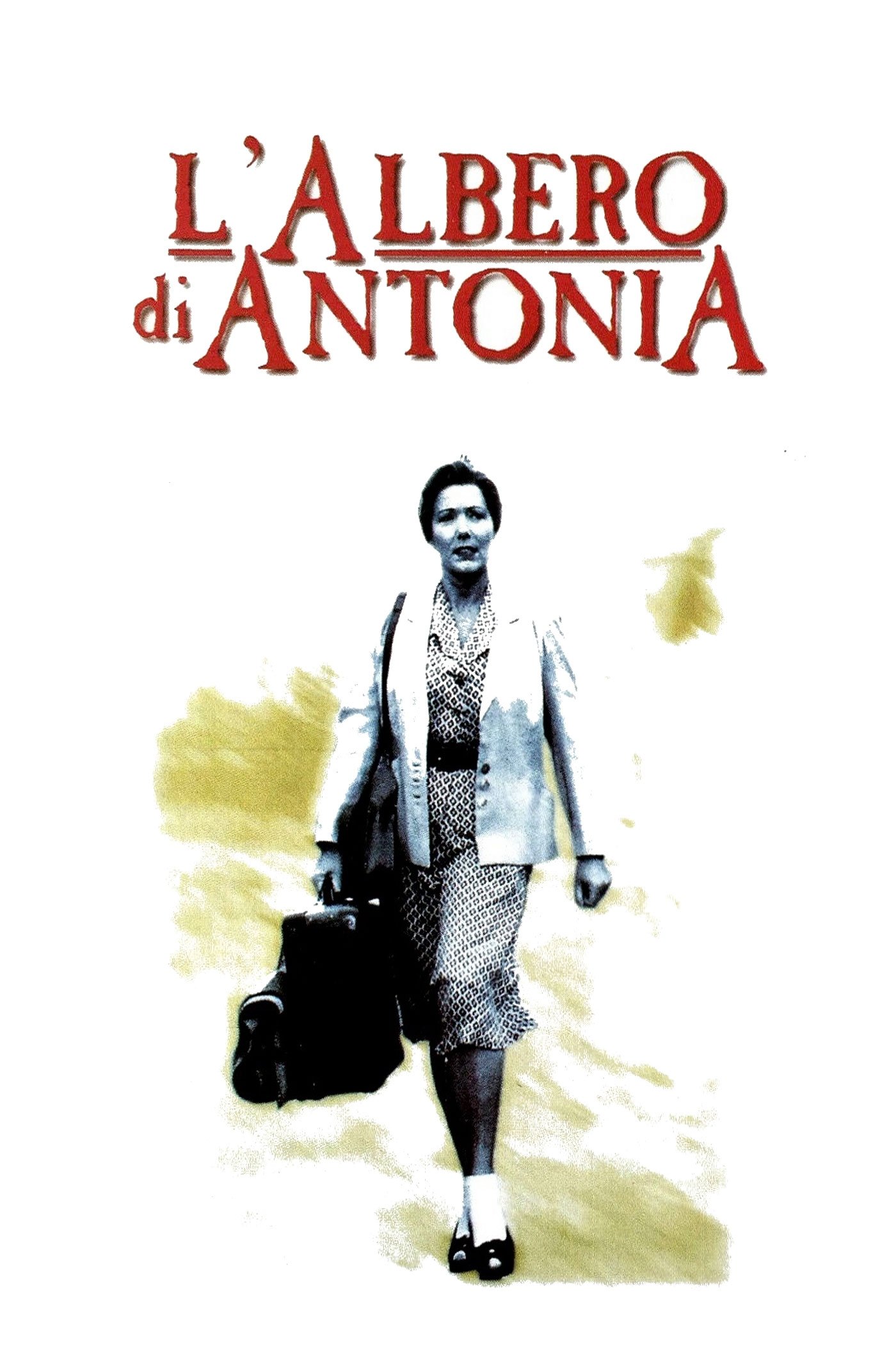 Locandina di L'albero di Antonia