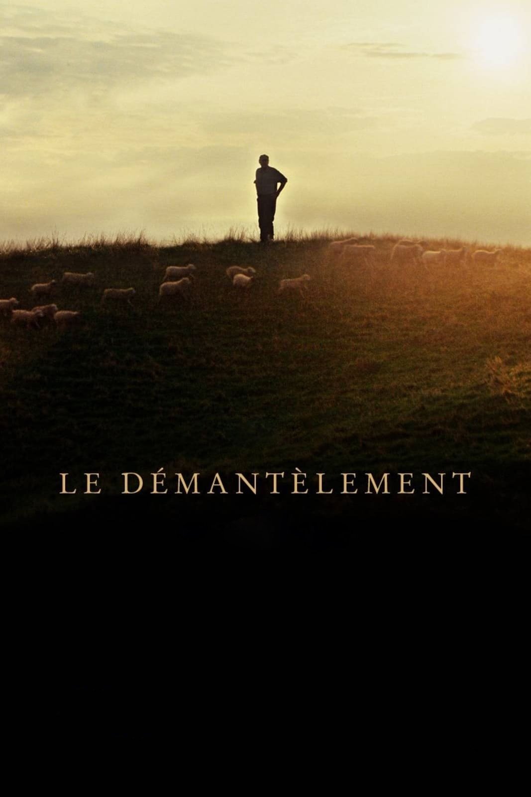 Locandina di Le Démantèlement