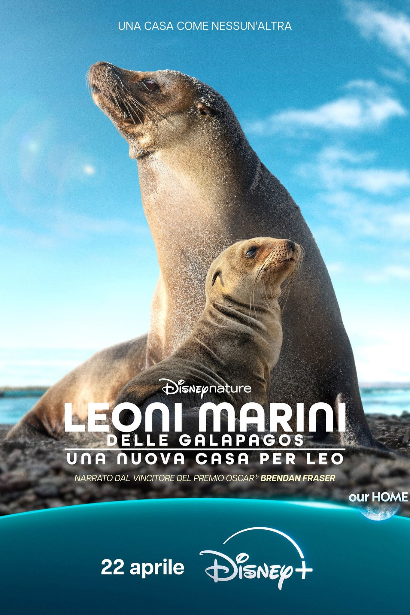 Locandina di Leoni marini delle Galapagos – Una nuova casa per Leo