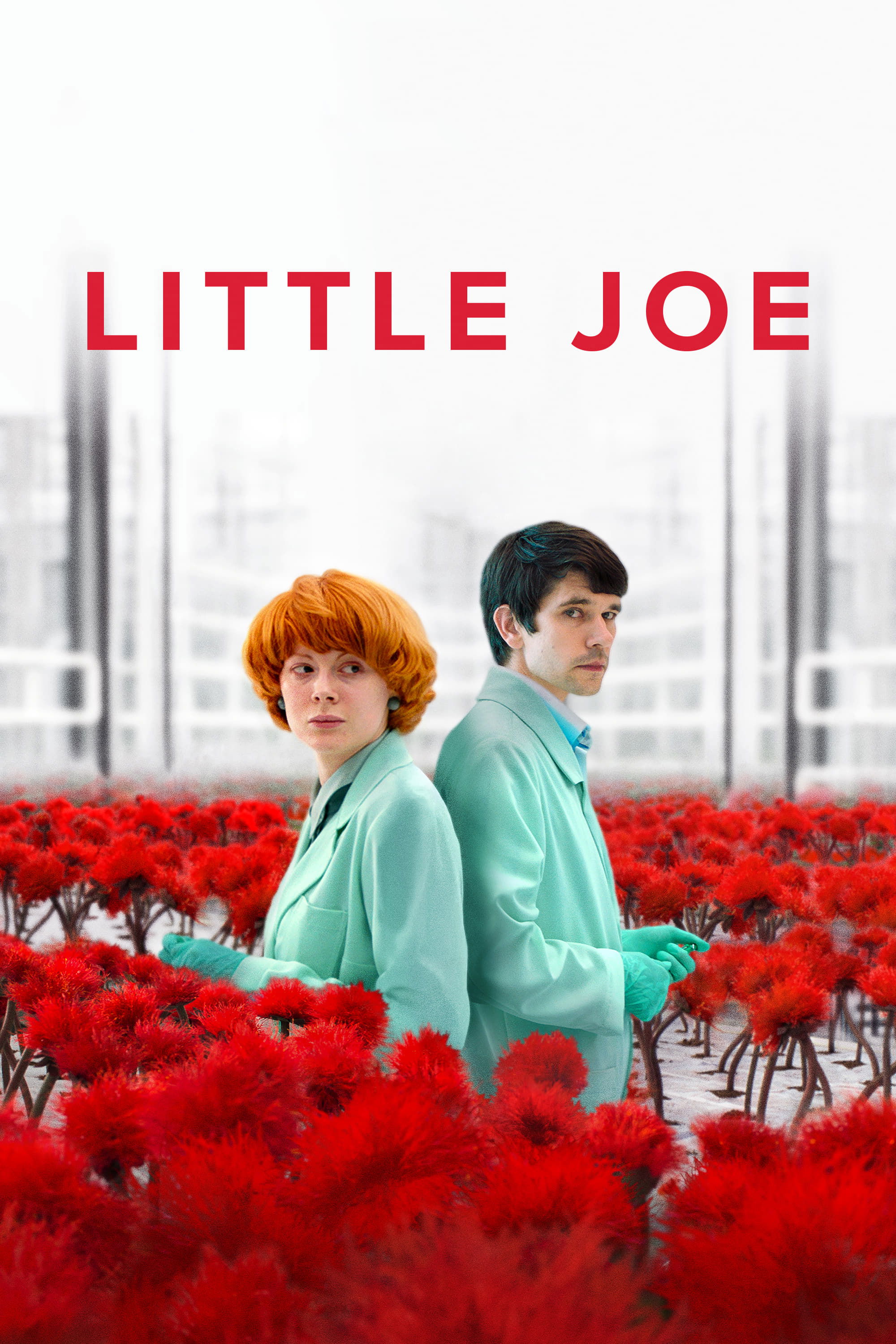 Locandina di Little Joe