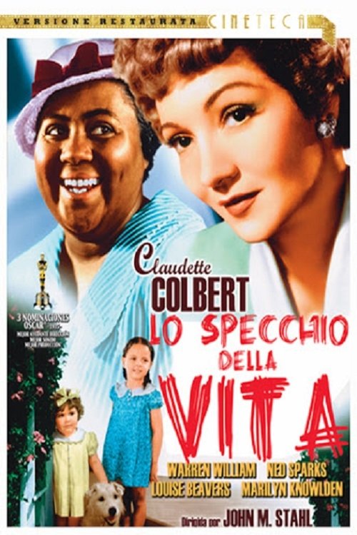 Locandina di Lo specchio della vita