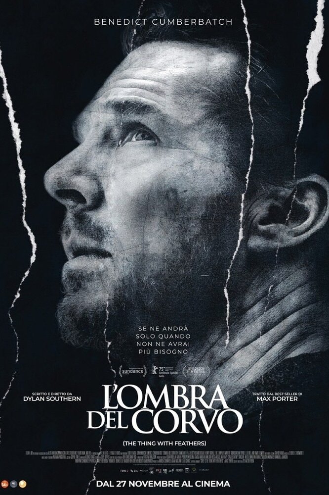 Locandina di L'ombra del corvo