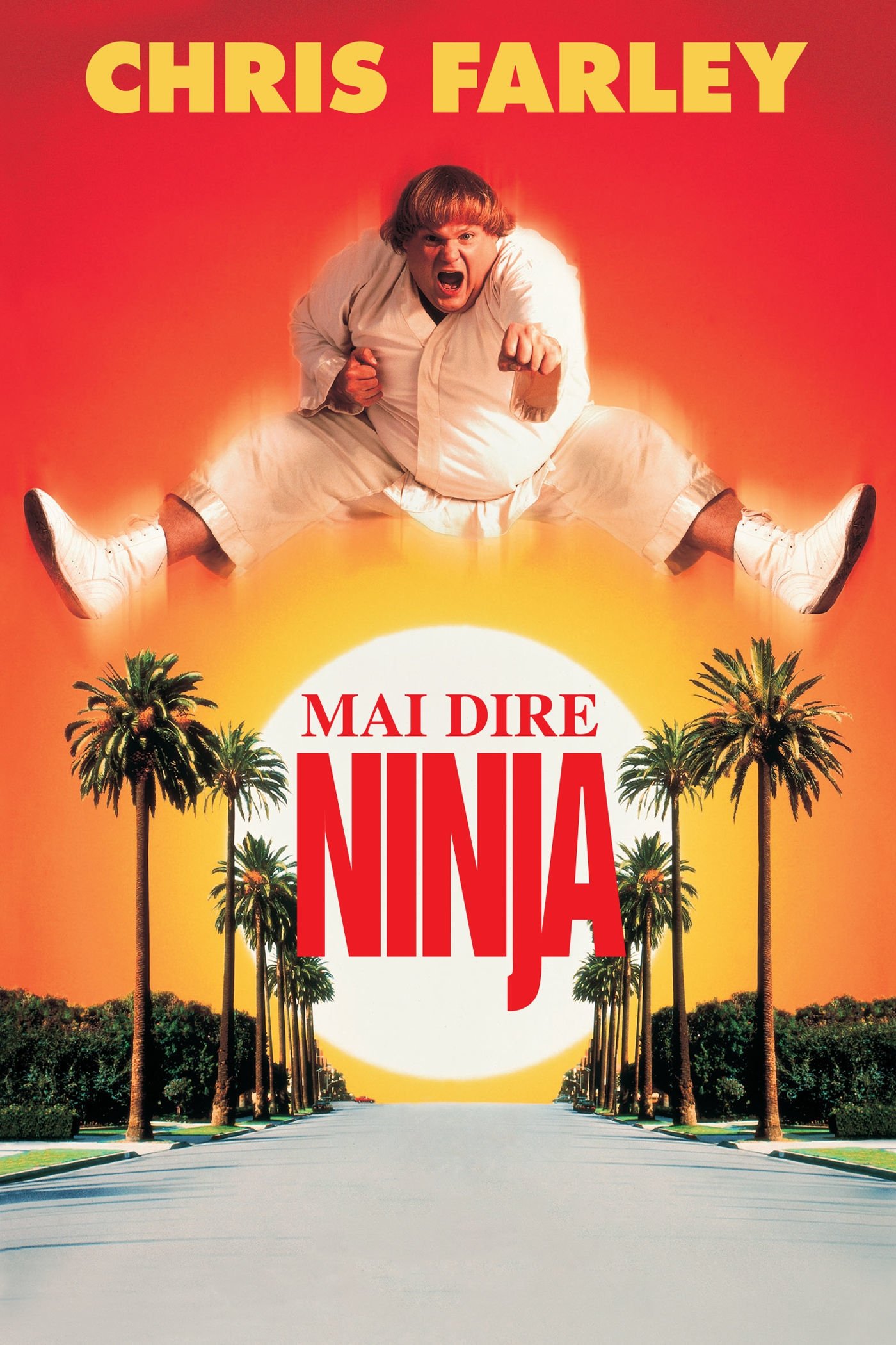 Locandina di Mai dire ninja