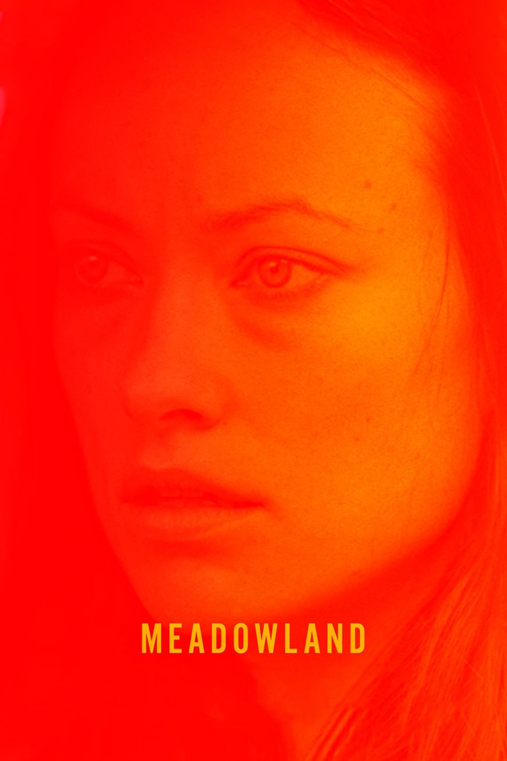 Locandina di Meadowland