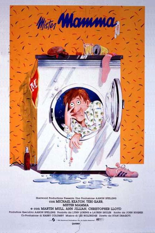 Locandina di Mister mamma