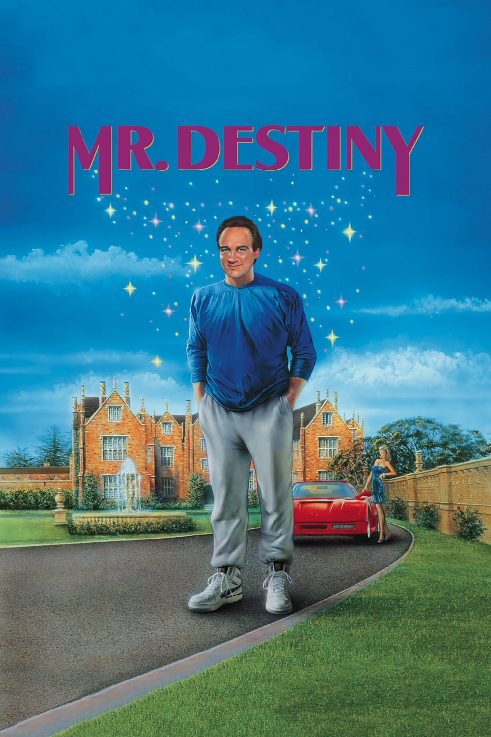 Locandina di Mr. Destiny