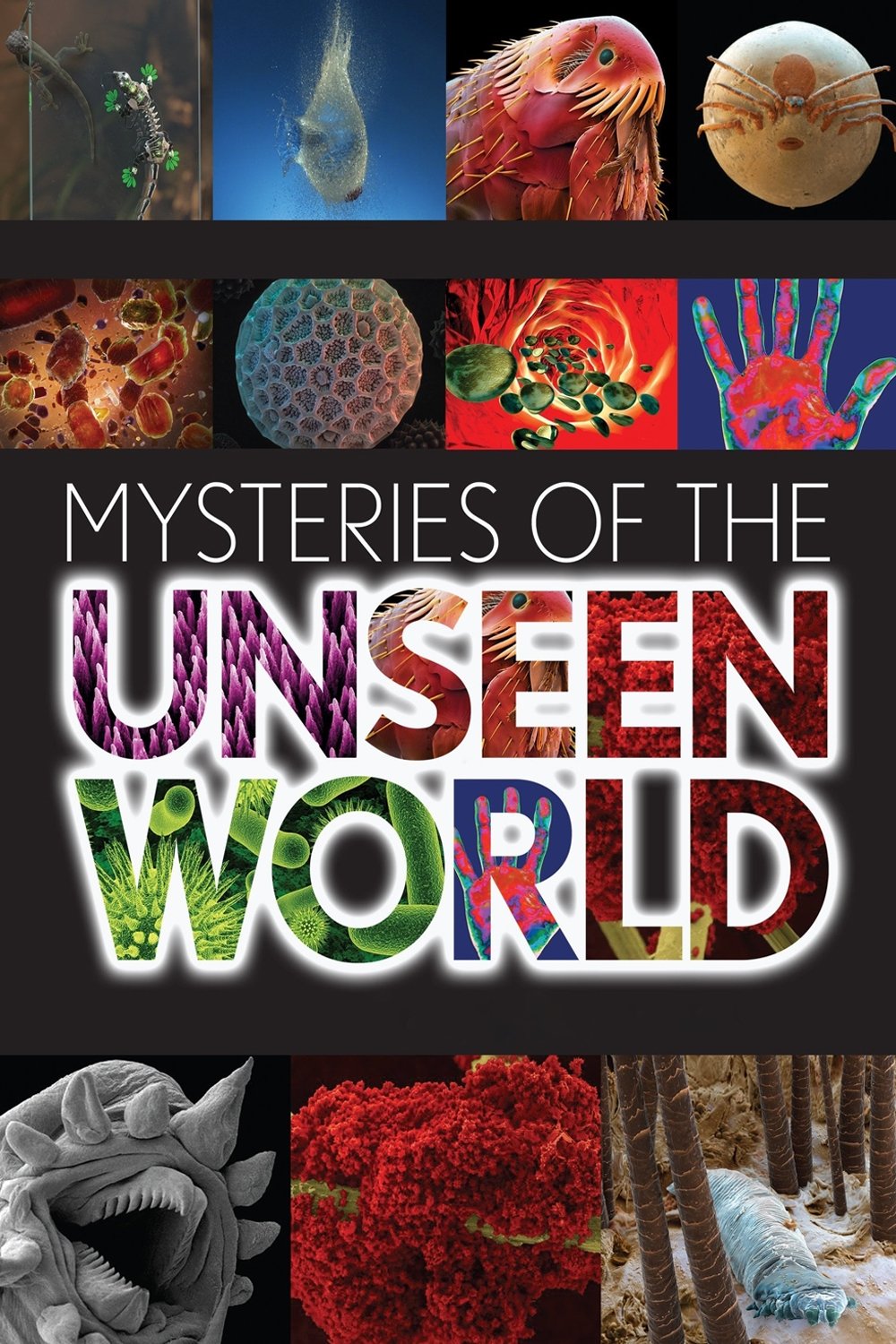 Locandina di Mysteries of the Unseen World