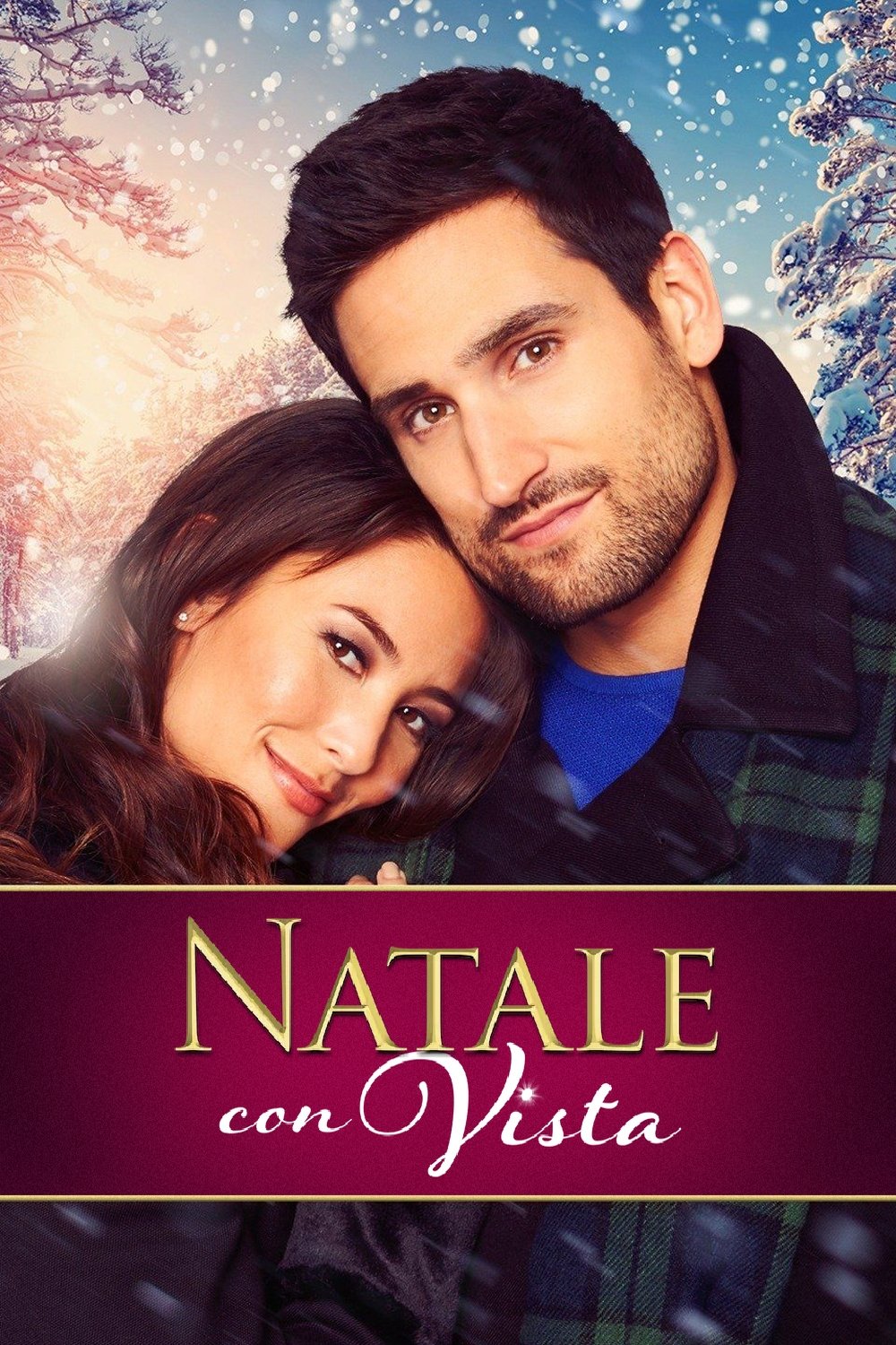 Locandina di Natale con vista