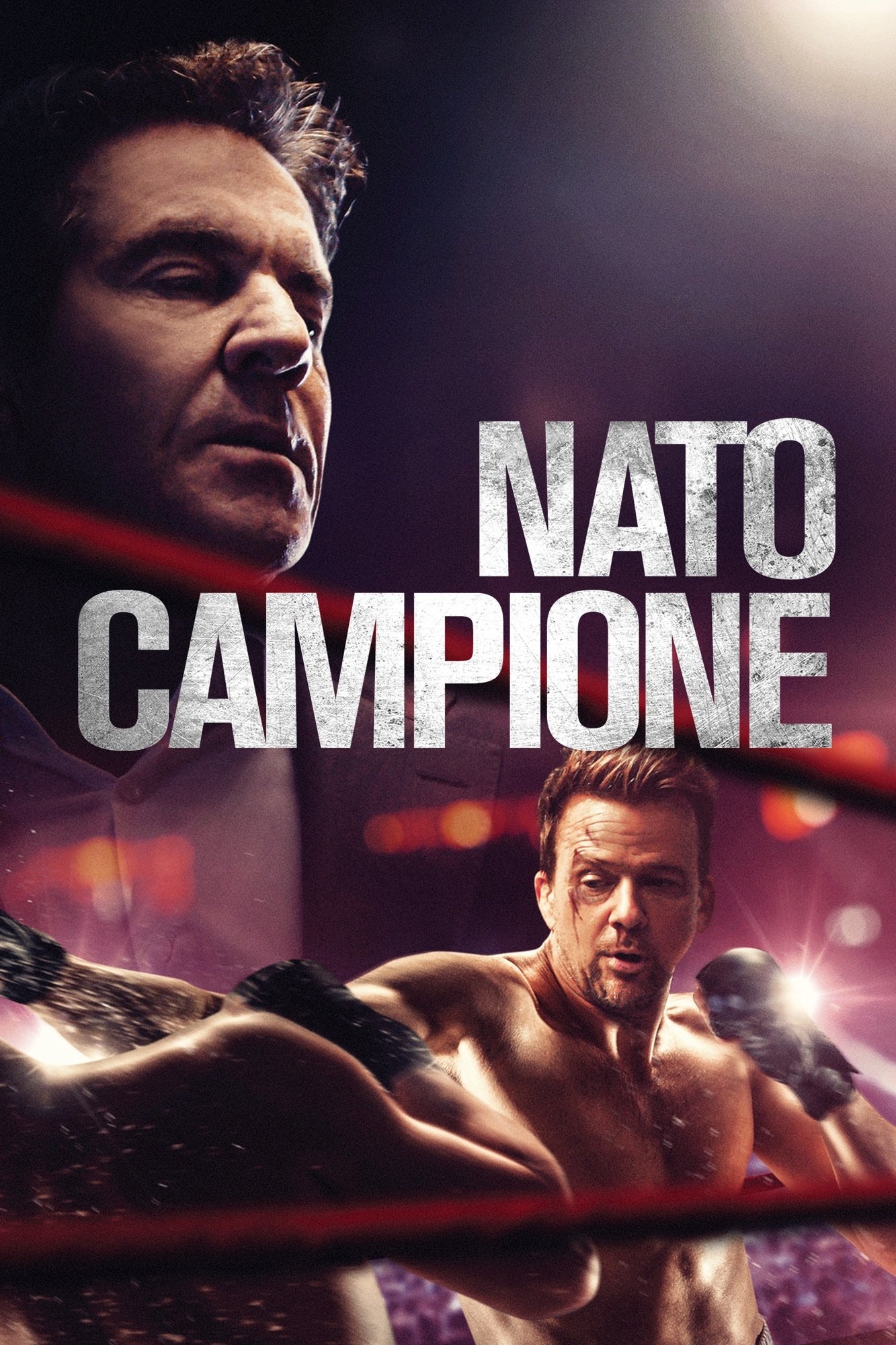 Locandina di Nato campione