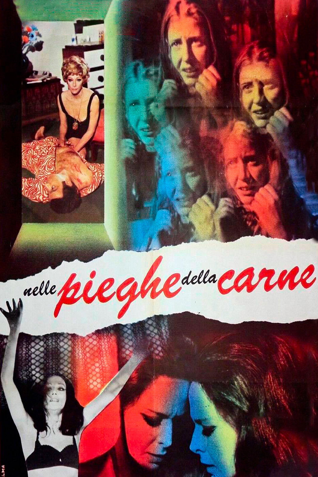 Locandina di Nelle pieghe della carne