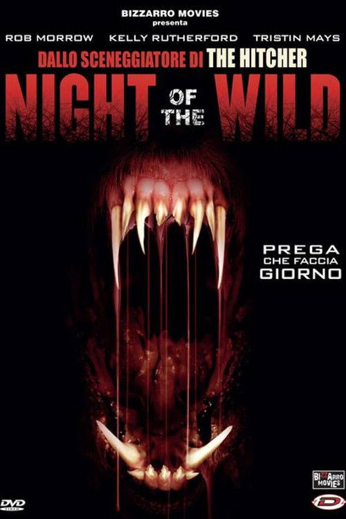 Locandina di Night of the Wild